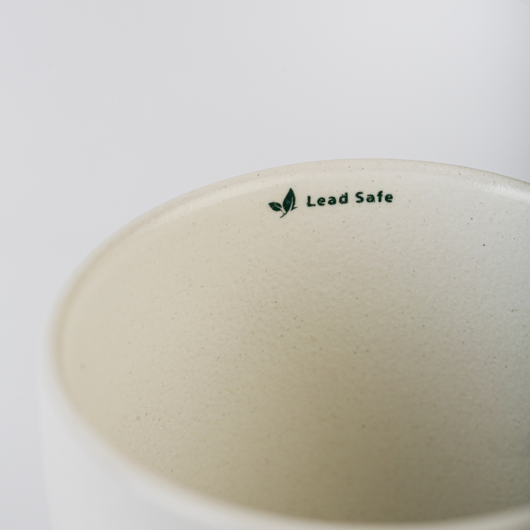 Fusion TMF70 Mug